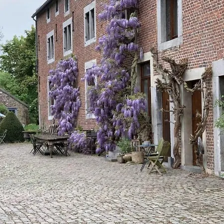 La Madeleine De Proust Irene Bed & Breakfast