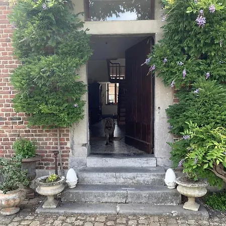 La Madeleine De Proust Irene Bed & Breakfast