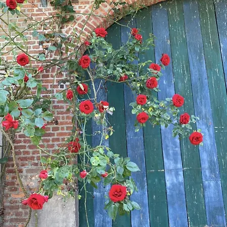 La Madeleine De Proust Irene