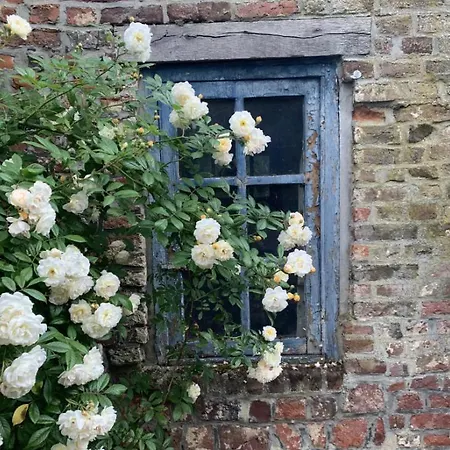 Bed & Breakfast La Madeleine De Proust Irene *