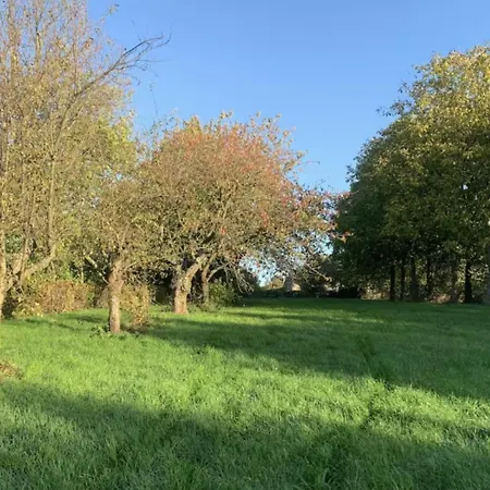 La Madeleine De Proust Irene