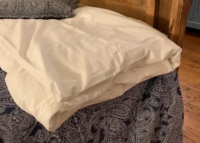 La Madeleine De Proust Irene 住宿加早餐酒店