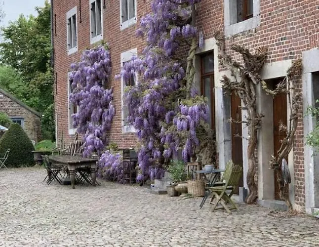 La Madeleine De Proust Irene Bed & Breakfast