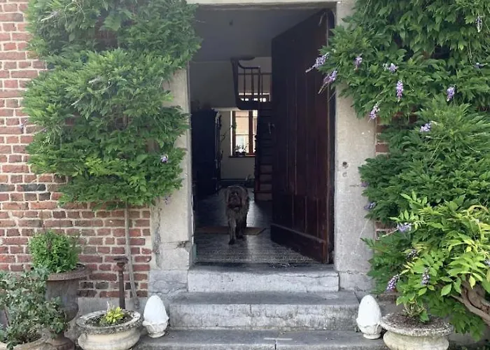 La Madeleine De Proust Irene 住宿加早餐酒店