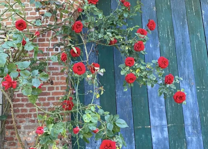 La Madeleine De Proust Irene