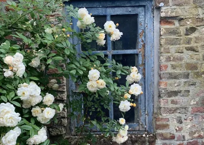 Bed & Breakfast La Madeleine De Proust Irene *