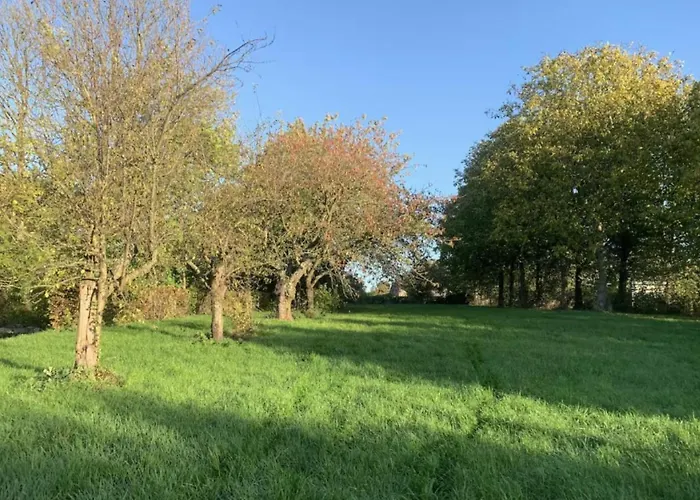 La Madeleine De Proust Irène